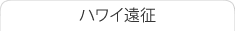 �n���C����
