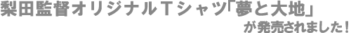 ���Ƒ�n
